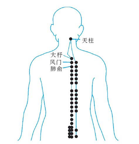 天柱穴氣結|中医经络穴位健康表